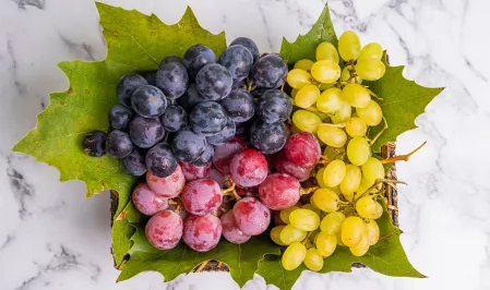 Grüne, rote und blaue Weintrauben auf einem Weinblatt