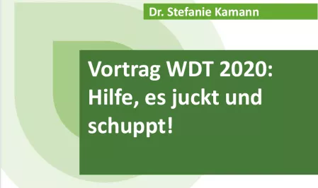 Teaser WDT 2020: Vortrag Kamann Haut
