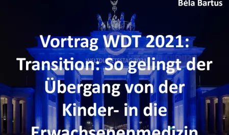 Teaserbild WDT 2021 Vortrag Bartus Transition