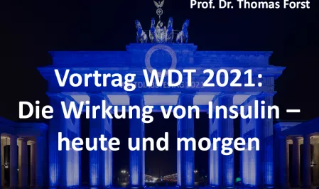Teaserbild WDT 2021 Vortrag Forst Insulin