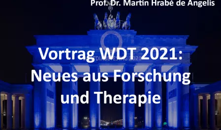 Teaserbild WDT 2021 Vortrag Hrabe de Angelis Forschung